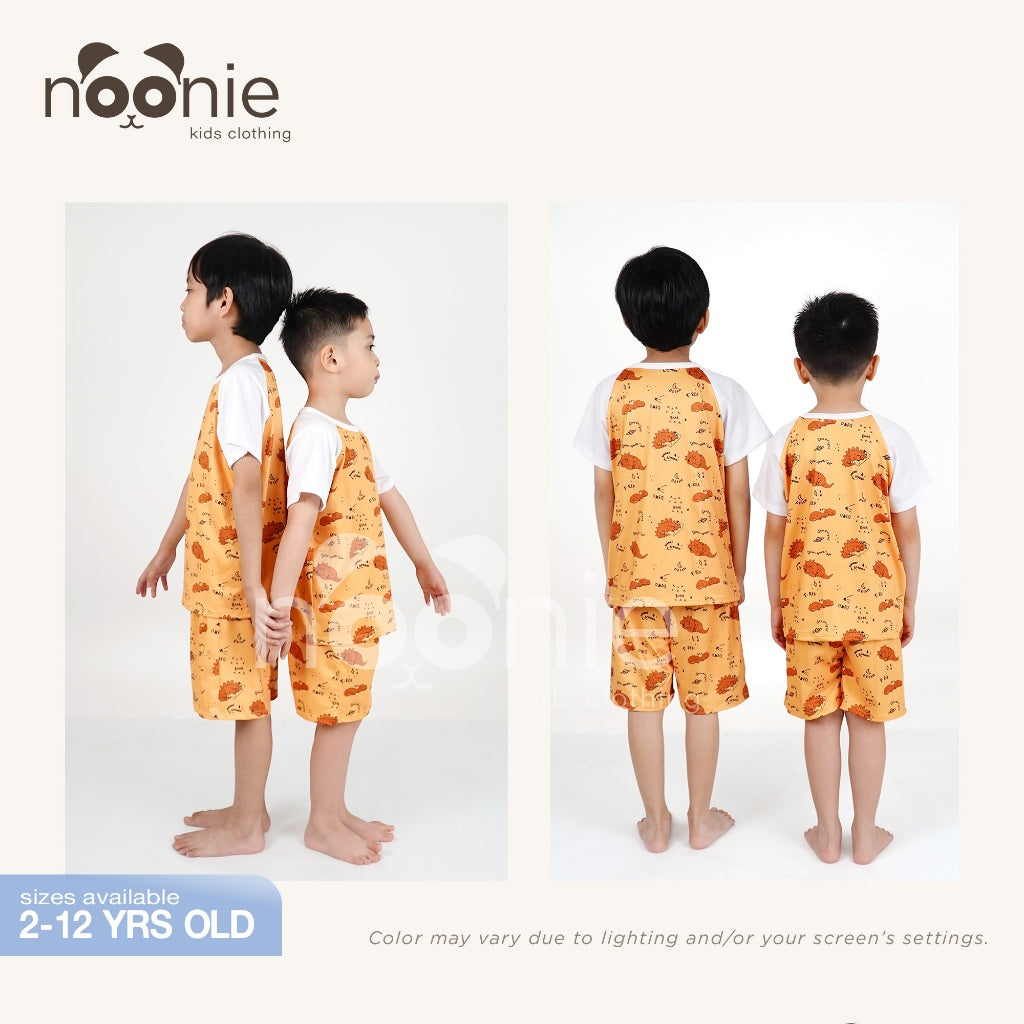 Noonie - Boys Terno (2-12Y)- Raglan Shirt & Shorts Kids Set - Terno for Kids Boy - Quality